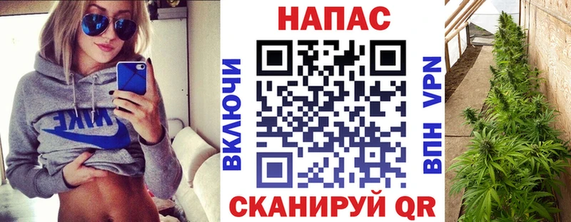 Каннабис Bruce Banner  Белёв 